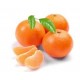 Clementine 34486/C 1 KG