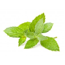 Spearmint pure and natural essential oil SP92060 1 KG