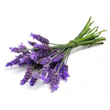 Lavender pure and natural essential oil LA88180 1 KG