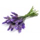 Lavender pure and natural essential oil LA88180 1 KG
