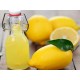 Lemon Hazel 9286 1 KG