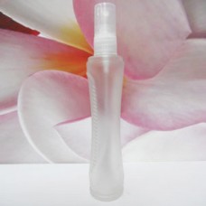 Molded Bottle PE Sprayer 50 ml Frosted Zip: CLEAR